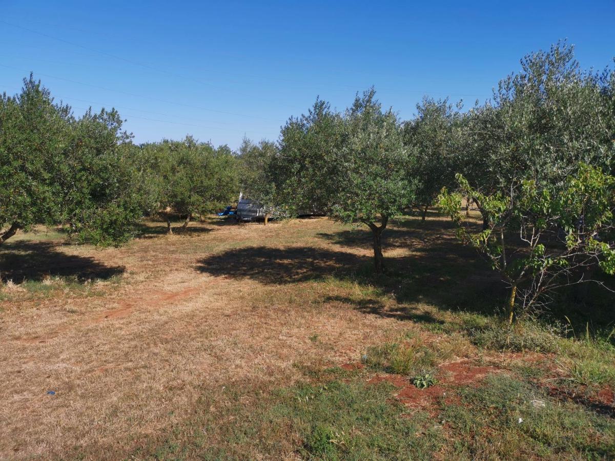 Jacuzi Cottage In The Olive Grove Пула Екстериор снимка