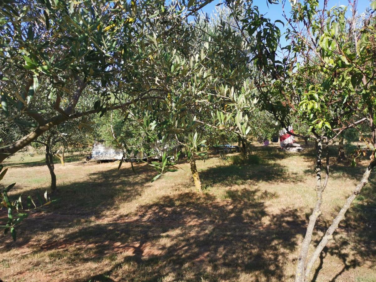 Jacuzi Cottage In The Olive Grove Пула Екстериор снимка