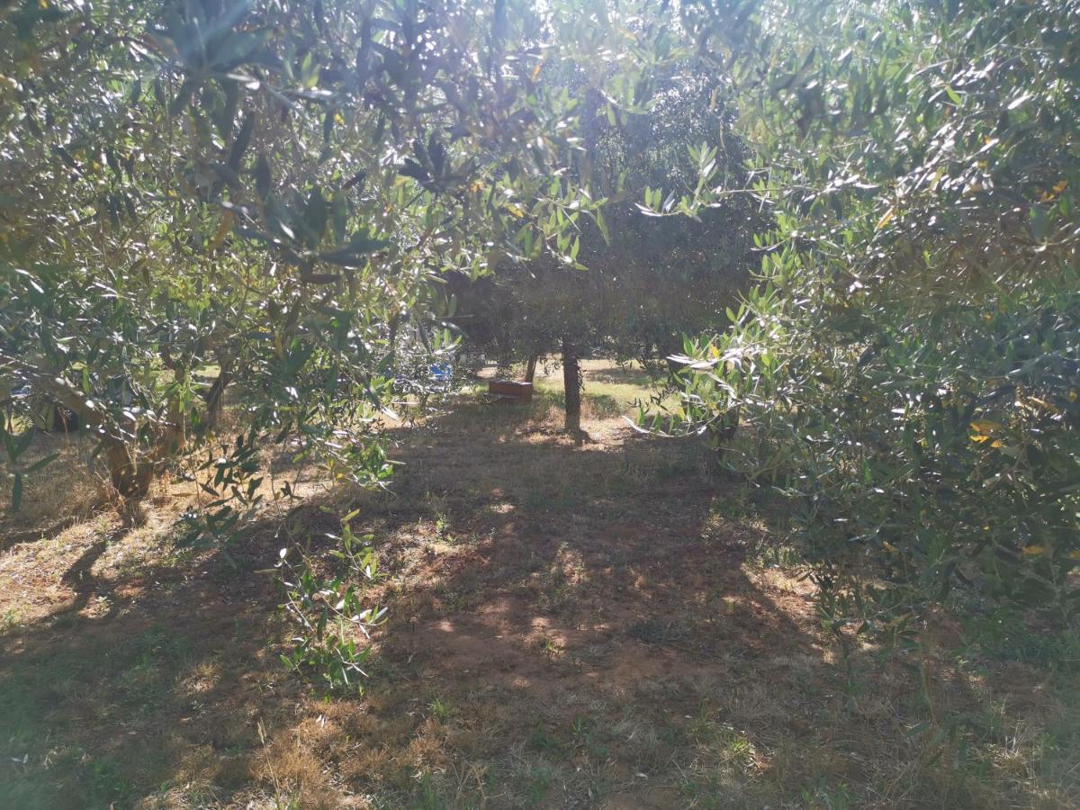 Jacuzi Cottage In The Olive Grove Пула Екстериор снимка
