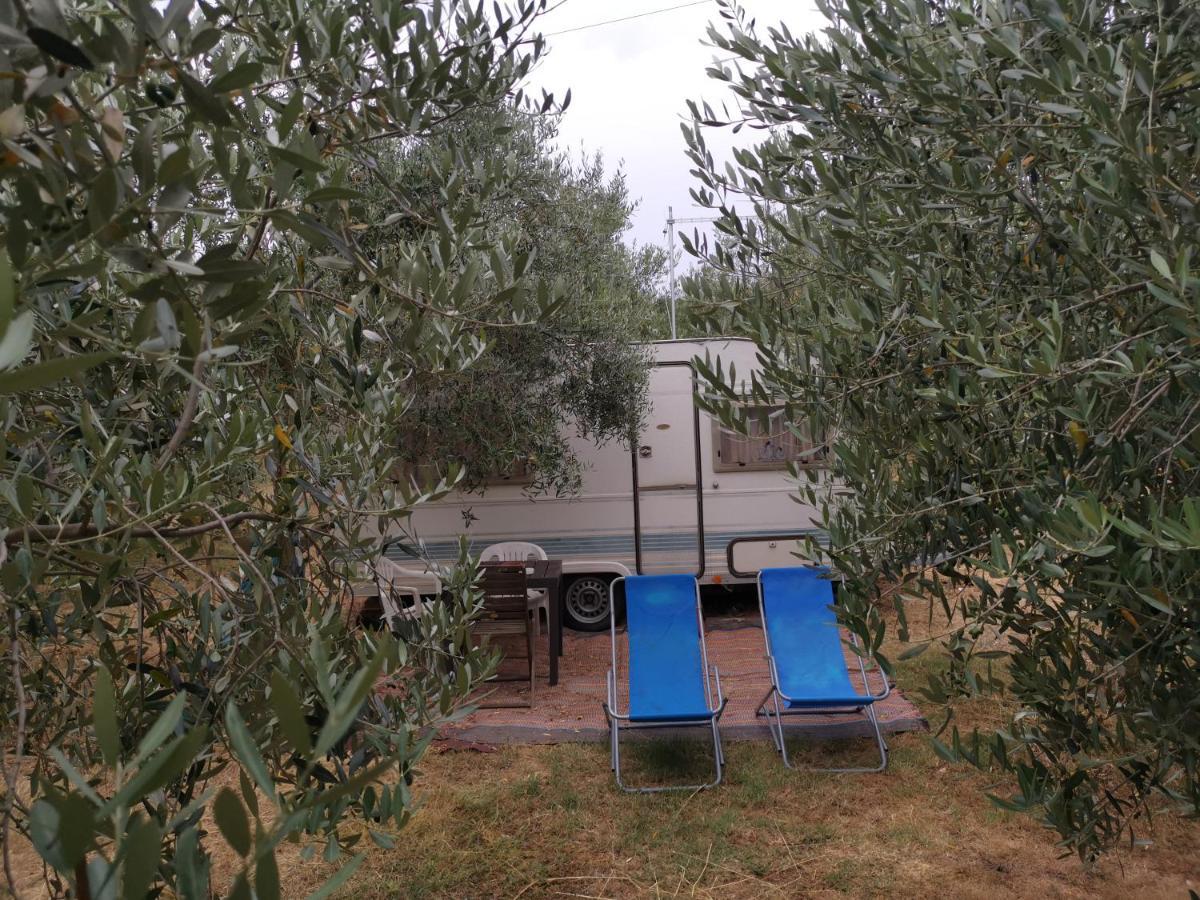 Jacuzi Cottage In The Olive Grove Пула Екстериор снимка