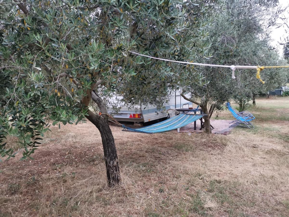 Jacuzi Cottage In The Olive Grove Пула Екстериор снимка