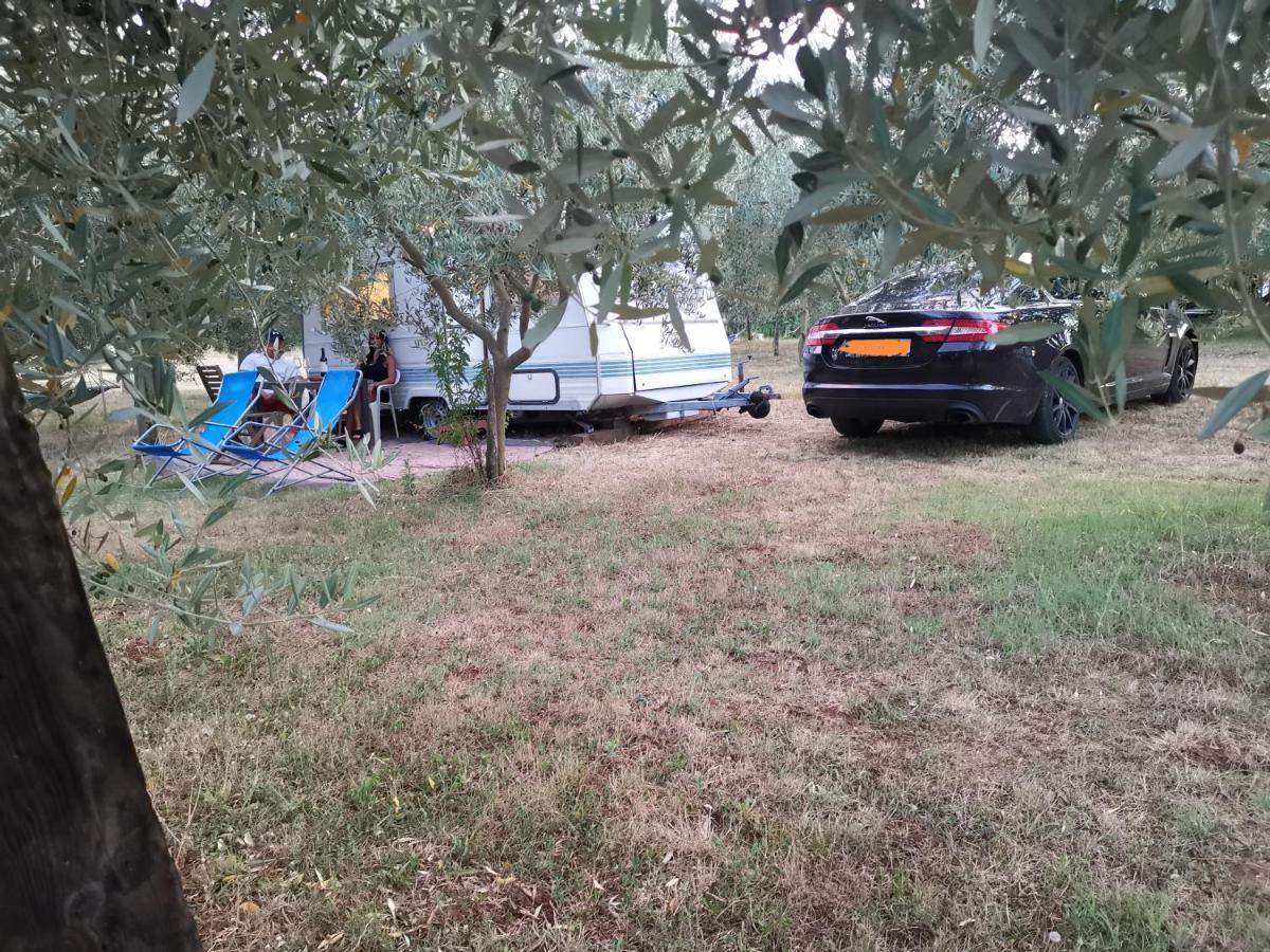 Jacuzi Cottage In The Olive Grove Пула Екстериор снимка