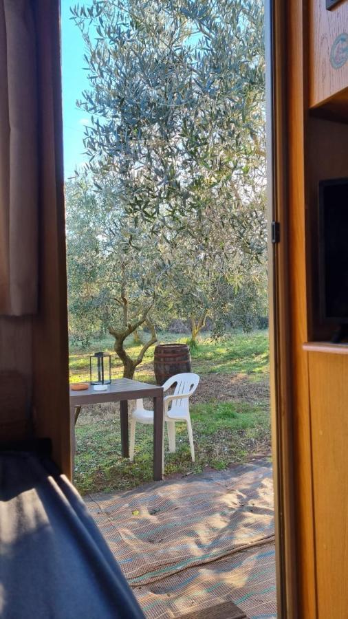 Jacuzi Cottage In The Olive Grove Пула Екстериор снимка