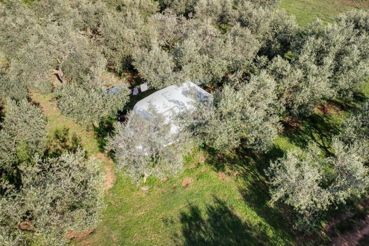 Jacuzi Cottage In The Olive Grove Пула Екстериор снимка