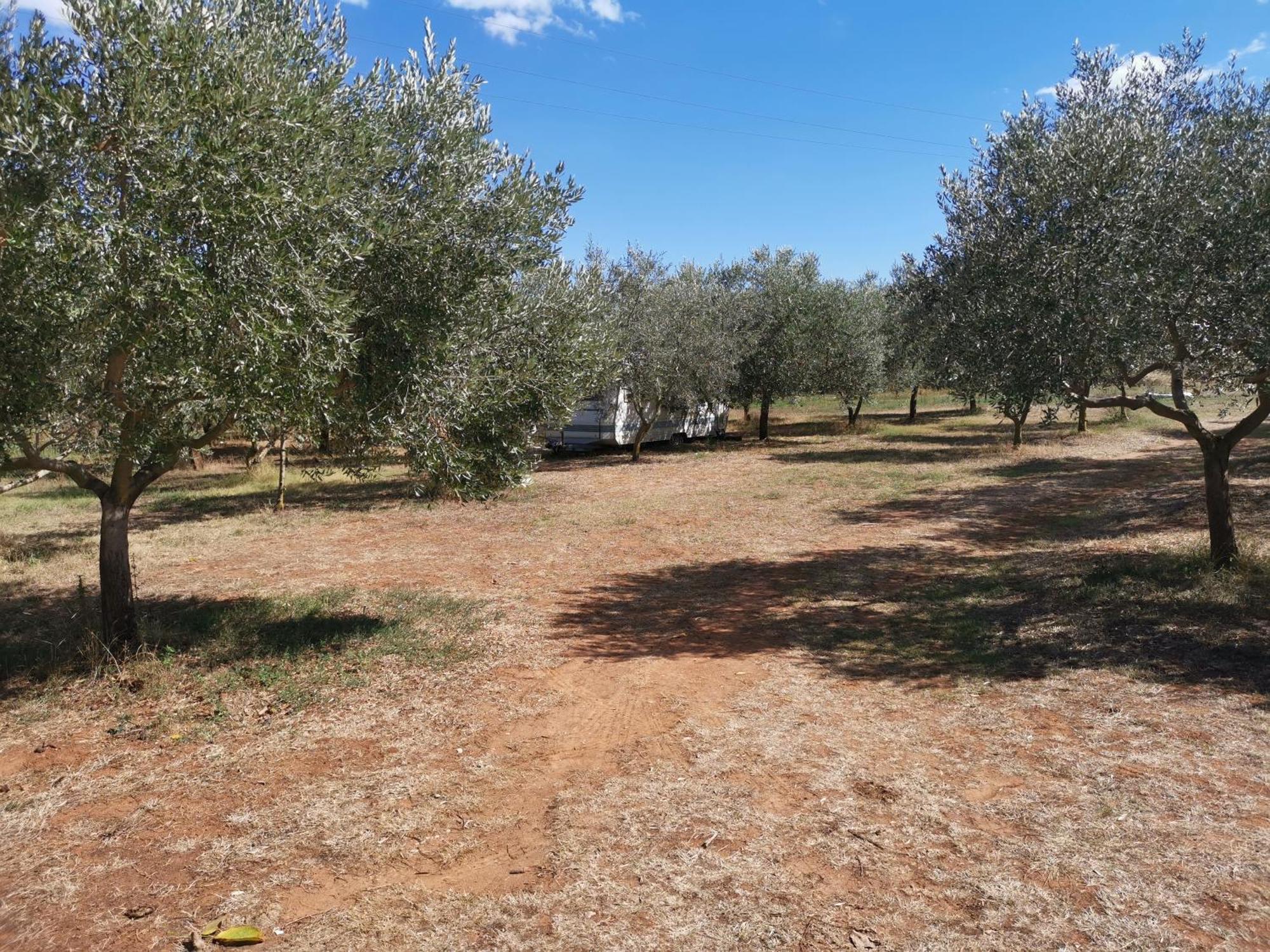 Jacuzi Cottage In The Olive Grove Пула Стая снимка